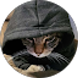 Profile photo of Jason Campos