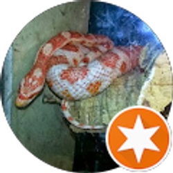 Profile photo of Waddle Carl