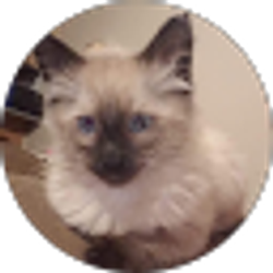 Profile photo of Amanda Milliken