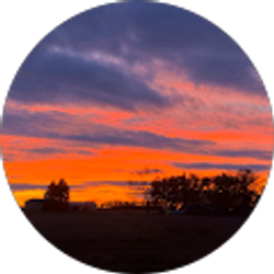 Profile photo of Jess