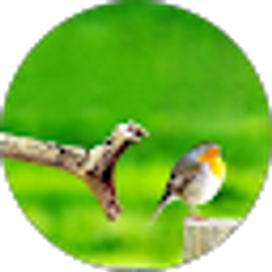 Profile photo of Christian Cruz