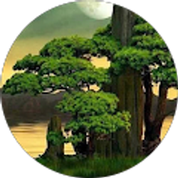 Profile photo of Reyna Alvarado