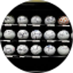 Profile photo of Jason Yeo