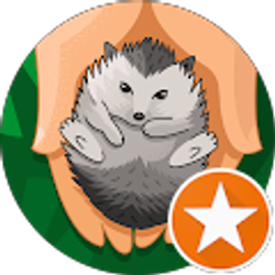 Profile photo of Corbin Showalter