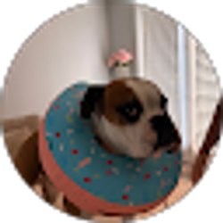 Profile photo of castrito
