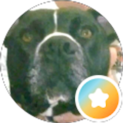 Profile photo of David bryson