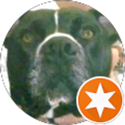 Profile photo of David bryson