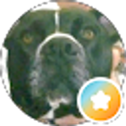 Profile photo of David bryson