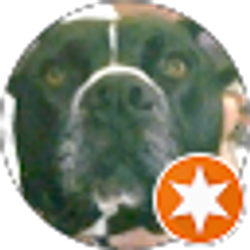 Profile photo of David bryson