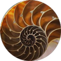 Profile photo of Jody Thomas