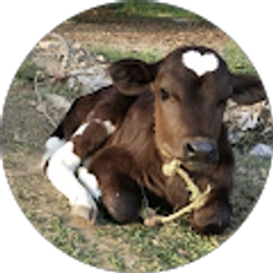 Profile photo of Miach Brown