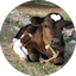 Profile photo of Miach Brown