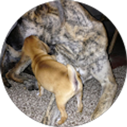 Profile photo of kaotic73