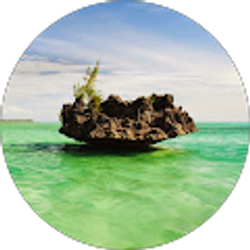 Profile photo of Tien Tran