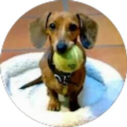 Profile photo of MC Taylor