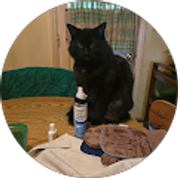 Profile photo of Kathy Hinkle
