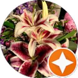 Profile photo of Dayly Specialz