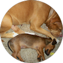 Profile photo of Rose Kelley