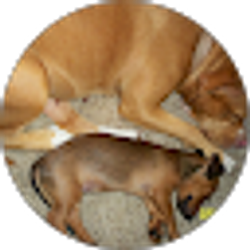 Profile photo of Rose Kelley