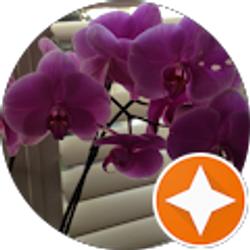 Profile photo of julie blue