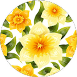 Profile photo of Ann