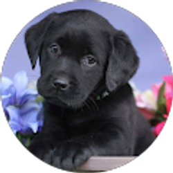 Profile photo of Claire Ragsdale