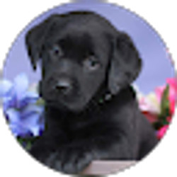 Profile photo of Claire Ragsdale