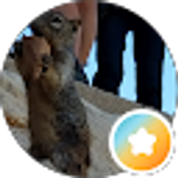 Profile photo of Adam Teti