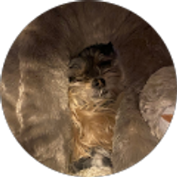 Profile photo of Leah Workman