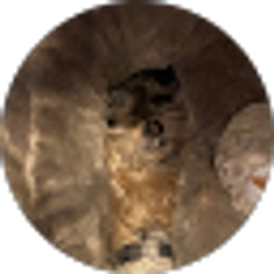 Profile photo of Leah Workman