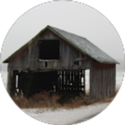 Profile photo of Ronnie Krupa