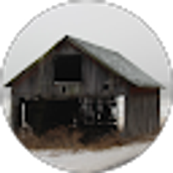 Profile photo of Ronnie Krupa