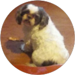 Profile photo of Barbara Horton