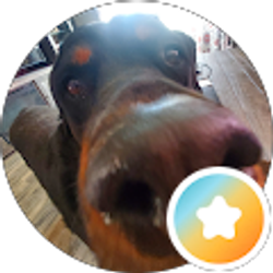 Profile photo of lance