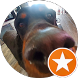 Profile photo of lance