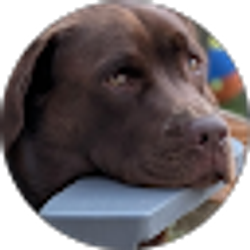 Profile photo of Michele Crowley