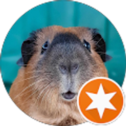 Profile photo of Diego Salmeron