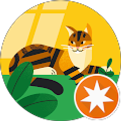 Profile photo of Lis