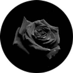 Profile photo of Natalie Marroquin