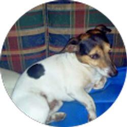 Profile photo of Robin Eason-Ryan