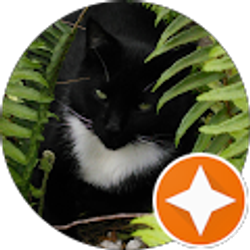 Profile photo of karen Krolikiewicz