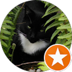 Profile photo of karen Krolikiewicz