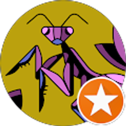 Profile photo of Ali Sha