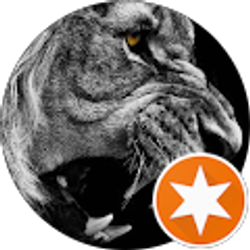 Profile photo of Illestofills