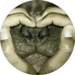 Profile photo of Mackenzie Parkinson