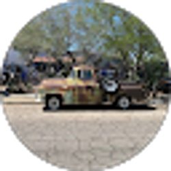 Profile photo of Debra Louise West