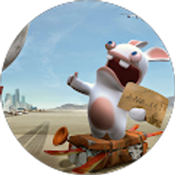 Profile photo of Changx Guo (STNY)