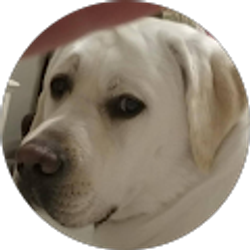 Profile photo of caroline revard