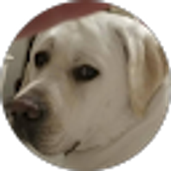 Profile photo of caroline revard