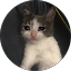Profile photo of Brandon Carder